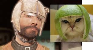 Image result for limecat