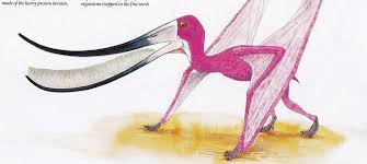 Attēlu rezultāti vaicājumam “Diderma roanense”