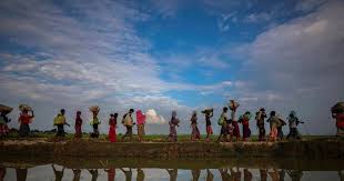 Image result for 4628737.html