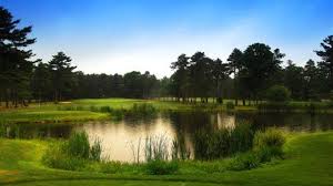 Image result for Falmouth Scrabble Club