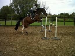 Image result for Ickleford Sports & Recreation Club