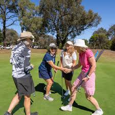 Image result for Braehead Golf Club