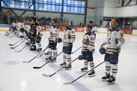 Image result for Romford Raiders