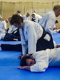 Image result for Newcastle Aikido Club
