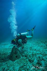 Image result for Seabug Divers