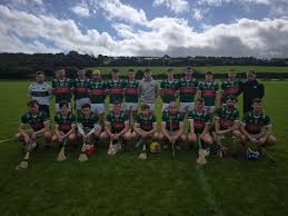 Image result for Causeway Hurling Club