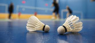 Image result for Springhill Junior Badminton Club