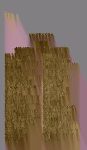 Attēlu rezultāti vaicājumam “Retinia resinella exuvia”