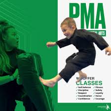 Image result for Pyramid martial arts