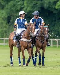 Image result for Cirencester Park Polo Club