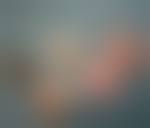 Image result for site:chan4chan.com