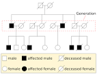 File:<b>Pedigree</b>-chart-example.