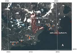 Attēlu rezultāti vaicājumam “Sanionia uncinata  sporophyte”