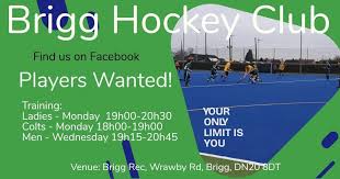 Image result for Brigg Hockey Club