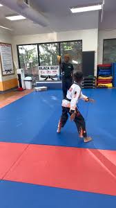 Image result for Suwanee Martial Arts Center