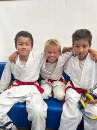 Image result for Redbridge Judo Club