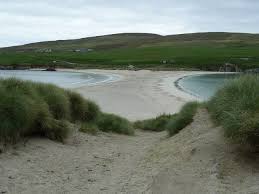 Image result for example