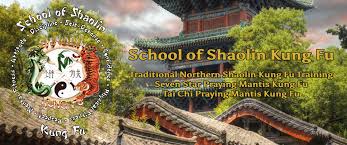 Image result for Shaolin Ancestors kung Fu School