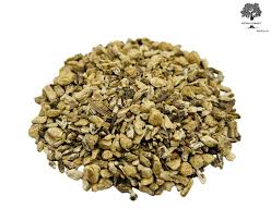 Attēlu rezultāti vaicājumam “Angelica archangelica fruit”