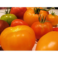 Afbeeldingsresultaat voor amana orange beefsteak tomato