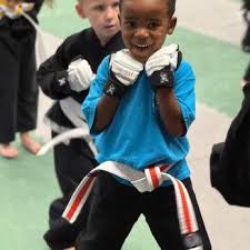 Image result for Action Karate