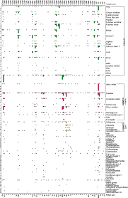 Attēlu rezultāti vaicājumam “Licea castanea sessile”