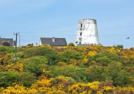 Image result for Peibio Bowls Club