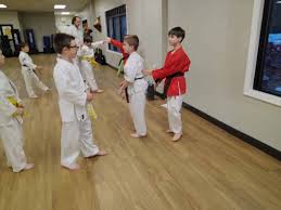 Image result for Hetton and Murton Karate Academy