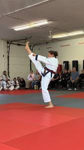 Image result for Quest Taekwondo