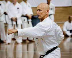 Image result for Devonport Shotokan Karate Club