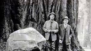 Image result for bohemian club