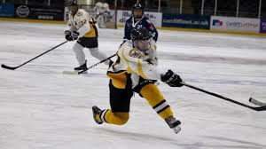 Image result for Cardiff Comets Ladies Ice Hockey