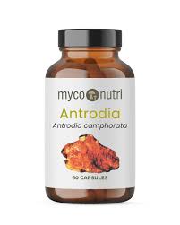 Attēlu rezultāti vaicājumam “Antrodia”