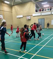 Image result for Twinkles Netball Club