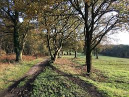 Image result for Tring Rambling Club