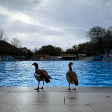 Image result for South London Swimming Club