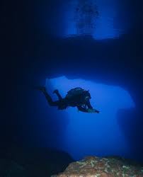 Image result for Blue Water Diving