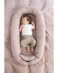 Attēlu rezultāti vaicājumam “Diaperis boleti nest”