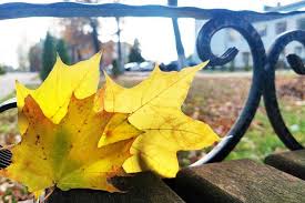 Image result for Приметы