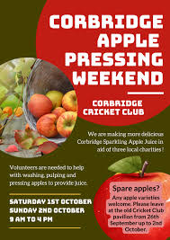 Image result for Corbridge Cricket Club