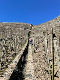 Image result for rôtie