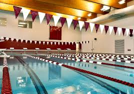Image result for Worcester Swimming Club