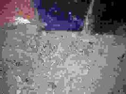 Image result for 4641027870