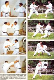 Image result for David Fuller Karate