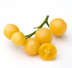 Afbeeldingsresultaat voor oranje van goeienbier tomato