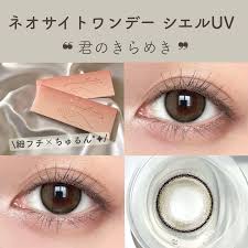 「ネオサイトワンデーシエル」の画像検索結果