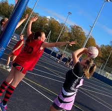 Image result for Dominos Netball Club