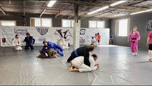 Image result for Vision Martial Arts