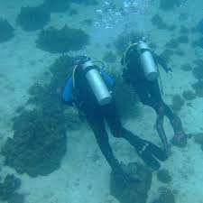 Image result for Lincoln & District BSAC 0109