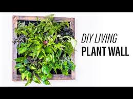 Image result for living wall